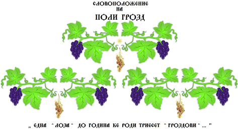 ПолиГроздЛогоСтолбови3